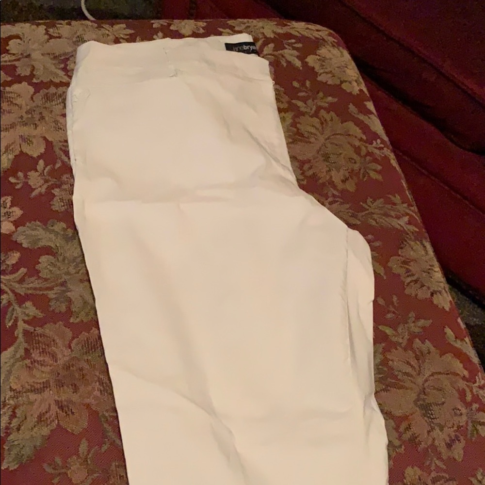 Women’s plus size dress pants.